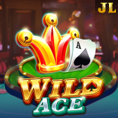 Wild Ace slot at Big Bunny Casino